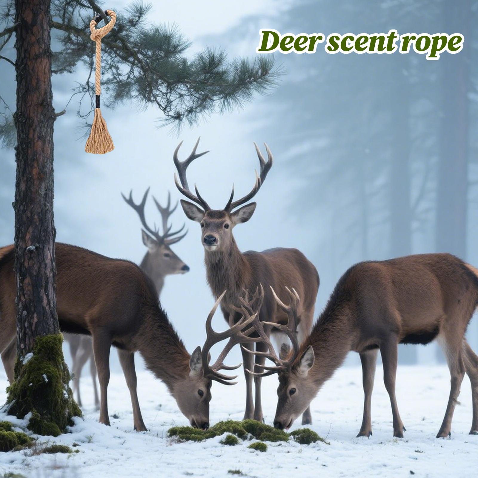 Deer Attractant Scent - Sznurek zapachowy na jelenie, długotrwały, skuteczny