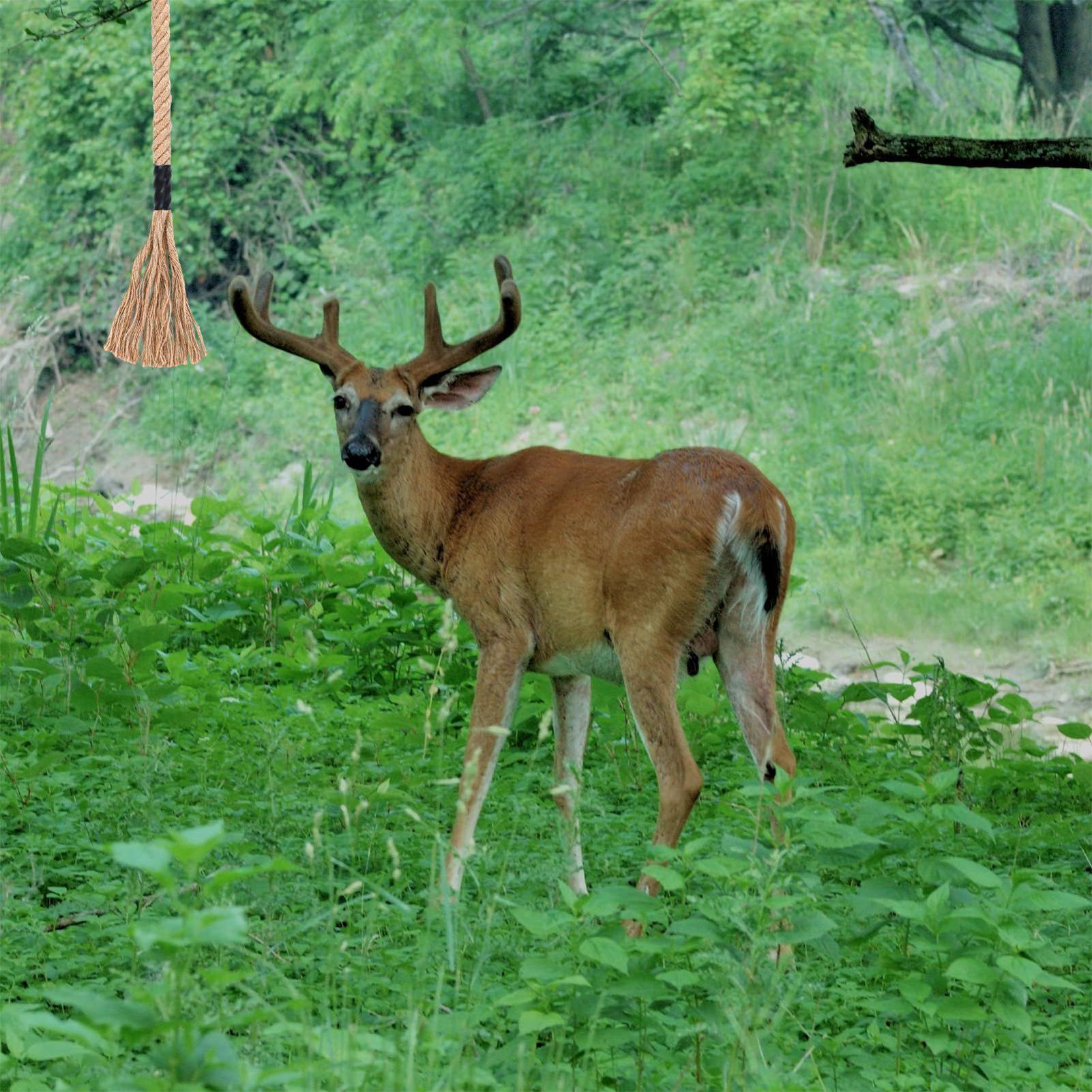 Deer Attractant Scent - Skrobanie z motywem jelenia, skuteczny, długotrwały
