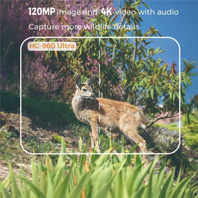 A99E-Zewnętrzna Kamera 4G 120M – Hunting And Outdoor Shows recenzja i cena